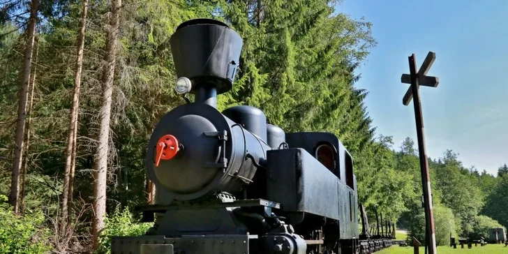 Hotel Bystrá*** s neobmedzeným vodným a saunovým svetom v nádhernej doline Nízkych Tatier pod Chopkom