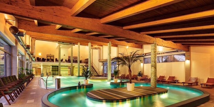 Vstup do vodného a saunového sveta Wellness hotela Bystrá***