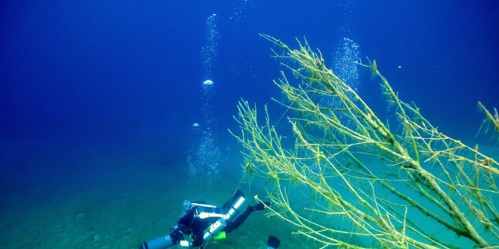 Skúšobný ponor Discover Scuba s potápačským prístrojom v Seneckom jazere
