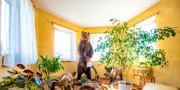 Obľúbený relaxačný pobyt na Orave so zľavou do Aquaparku Chocholowskie Termy