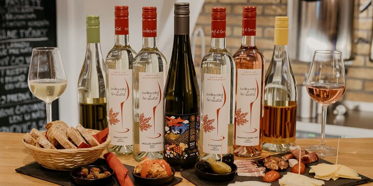 Privátna degustácia prémiových mladých slovenských vín alebo varené víno vo Vieche pod klenbami