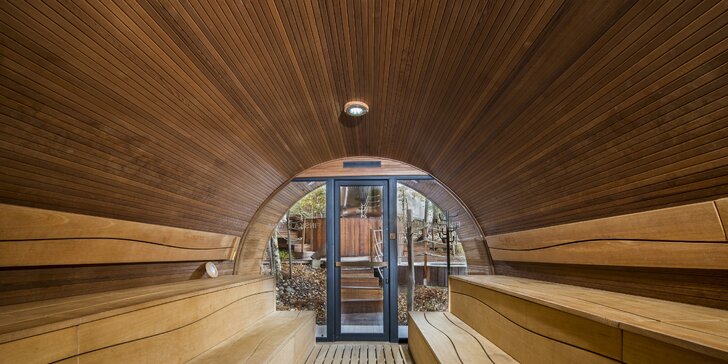 Treehouse Apartments - pobyt so vstupom do legendárneho saunového sveta Zelená Žaba