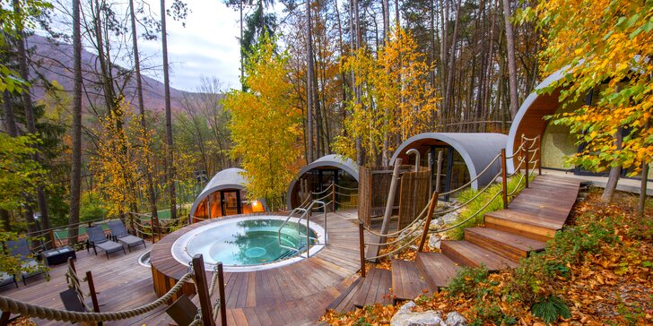 Treehouse Apartments - pobyt so vstupom do legendárneho saunového sveta Zelená Žaba