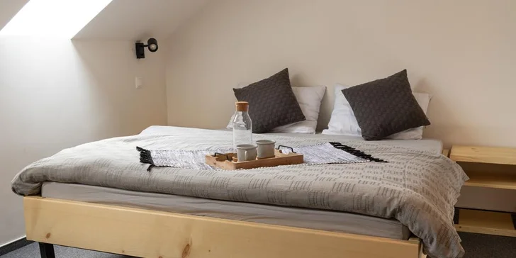 Treehouse Apartments - pobyt so vstupom do legendárneho saunového sveta Zelená Žaba