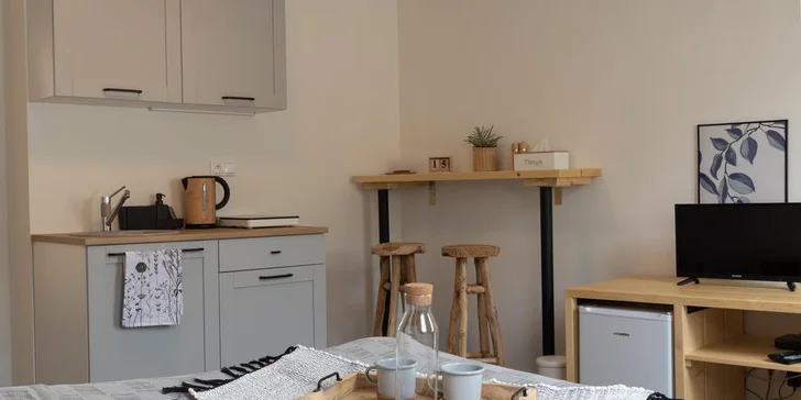 Treehouse Apartments - pobyt so vstupom do legendárneho saunového sveta Zelená Žaba