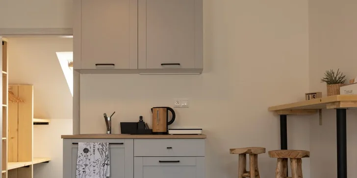 Treehouse Apartments - pobyt so vstupom do legendárneho saunového sveta Zelená Žaba