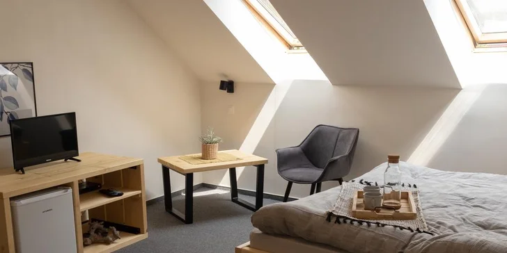 Treehouse Apartments - pobyt so vstupom do legendárneho saunového sveta Zelená Žaba