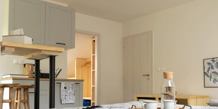 Treehouse Apartments - pobyt so vstupom do legendárneho saunového sveta Zelená Žaba