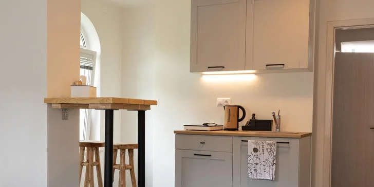 Treehouse Apartments - pobyt so vstupom do legendárneho saunového sveta Zelená Žaba