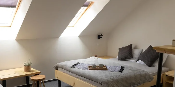 Treehouse Apartments - pobyt so vstupom do legendárneho saunového sveta Zelená Žaba