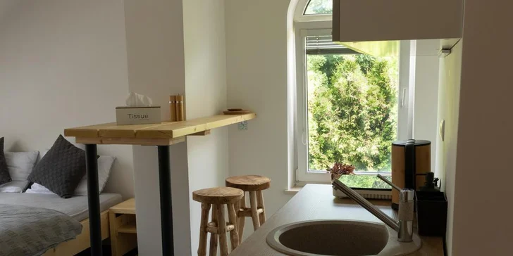 Treehouse Apartments - pobyt so vstupom do legendárneho saunového sveta Zelená Žaba
