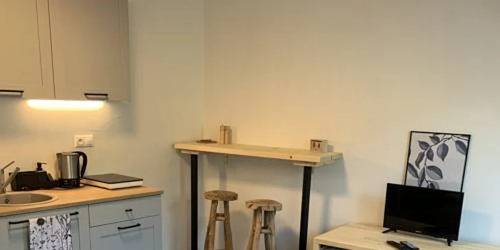 Treehouse Apartments - pobyt so vstupom do legendárneho saunového sveta Zelená Žaba