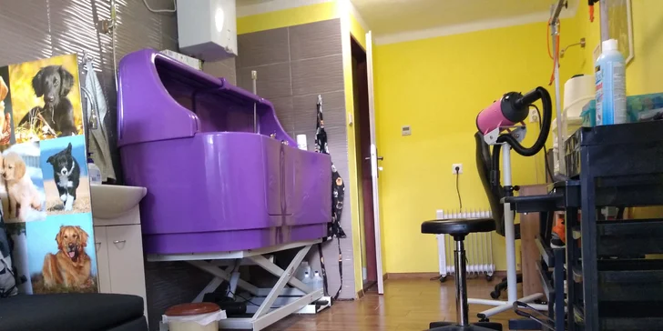 Profesionálne strihanie a kompletná úprava psov v salóne alebo u vás doma