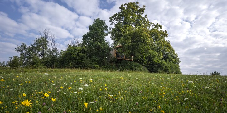 Zážitkový pobyt pre 2 až 4 osoby v novopostavenom domčeku v korunách stromov s výhľadom na krásnu oravskú prírodu