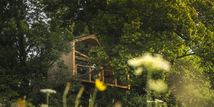 Zážitkový pobyt pre 2 až 4 osoby v novopostavenom domčeku v korunách stromov s výhľadom na krásnu oravskú prírodu