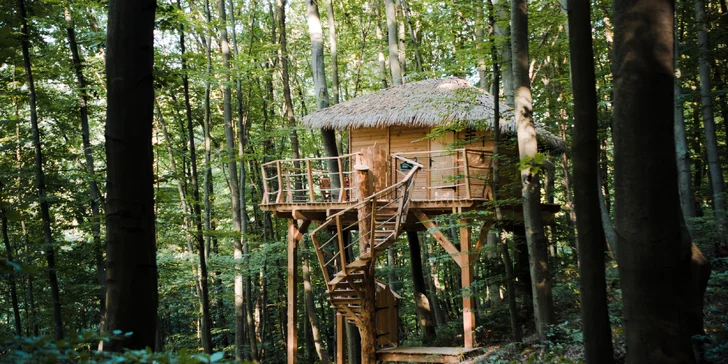 Zážitkový pobyt v unikátnom Treehouse v Trenčianskych Tepliciach s raňajkami aj vstupom do wellness