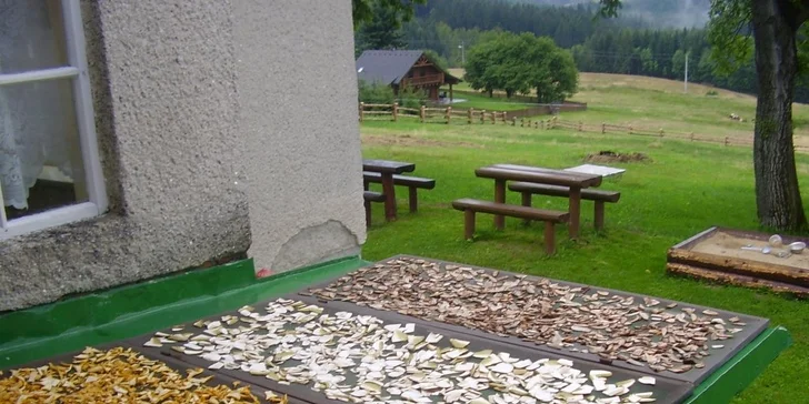 Rozprávkový oddych v štýlovo zariadenej chate pre rodinu alebo celú partiu