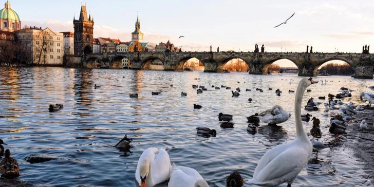 Elegantný hotel na Žižkově, bohaté raňajky a TOP miesta Prahy na dosah