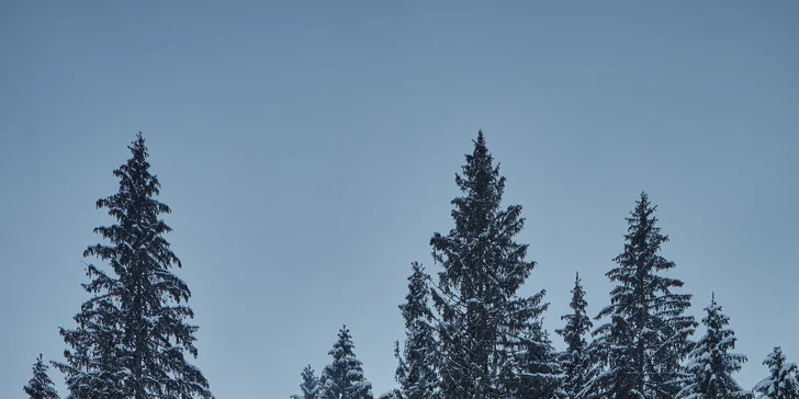 Dovolenka uprostred lesa v nových, unikátnych Björnson Tree Houses*** s neobmedzeným exteriérovým wellness a deťmi do 10r. zdarma!