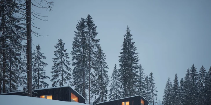Dovolenka uprostred lesa v nových, unikátnych Björnson Tree Houses*** s neobmedzeným exteriérovým wellness a deťmi do 10r. zdarma!