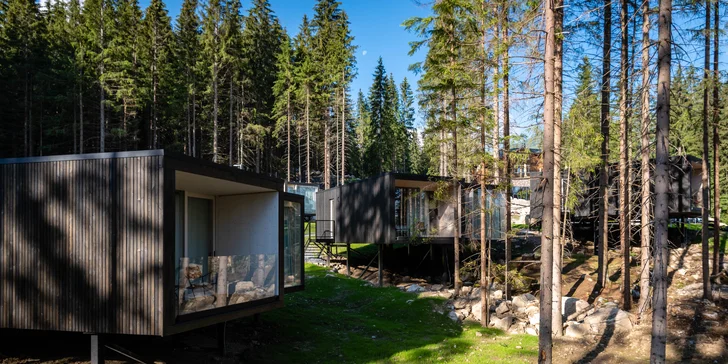 Dovolenka uprostred lesa v nových, unikátnych Björnson Tree Houses*** s neobmedzeným exteriérovým wellness, lanovkou a deťmi do 10r. zdarma!