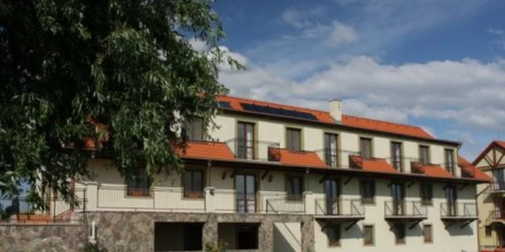 59 eur za 3-dňový pobyt v penzióne Lagáň pre DVOCH. Relax uprostred romantických viníc a slnečnicových polí južného Slovenska, so zľavou 48%!