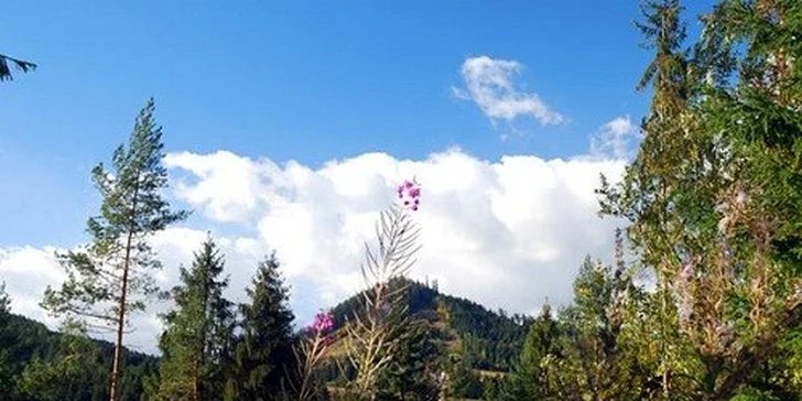 Wellness pobyt v Penzióne HOREC*** na Liptove