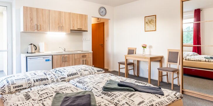 Komfortné apartmány pre 2 až 4 osoby v blízkosti Thermal Parku Bešeňová
