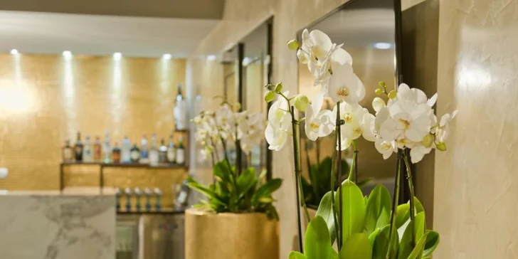 Moderný hotel na Rohanskom nábreží v Prahe: bohaté raňajky a neobmedzený wellness