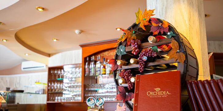 Wellness a Spa pobyt v hoteli Orchidea*** vo Veľkom Mederi