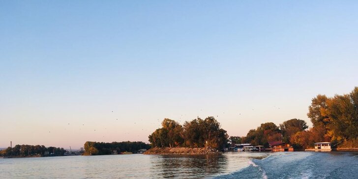 Plavba po Dunaji motorovým člnom pre 7 osôb