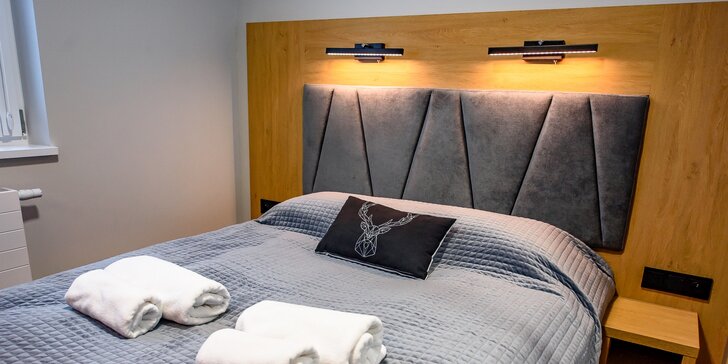 Luxusný pobyt v moderne zariadenom apartmánovom dome v Krynici-Zdrój s neobmedzeným vstupom do sauny