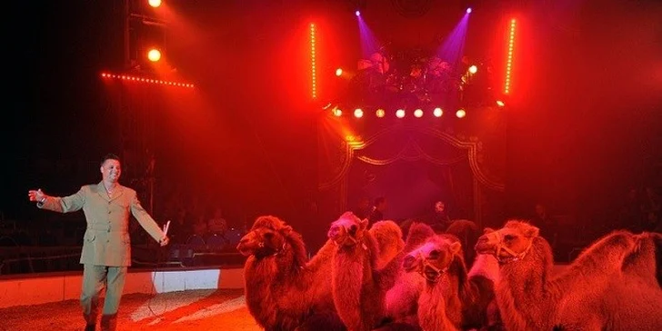 Vstupenka pre 2 os. na Circus Louis Knie vo Viedni