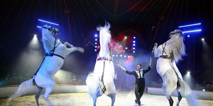 Vstupenka pre 2 os. na Circus Louis Knie vo Viedni