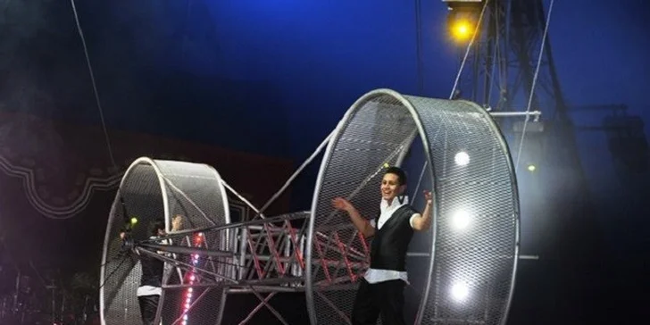 Vstupenka pre 2 os. na Circus Louis Knie vo Viedni