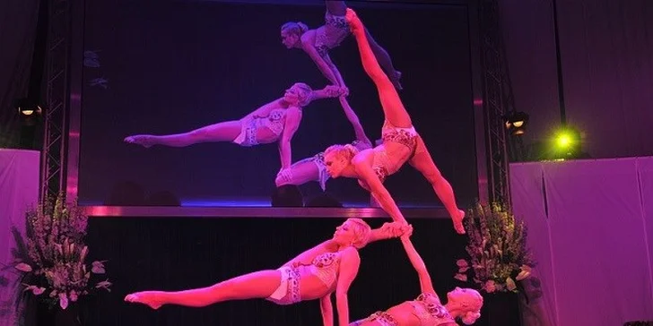 Vstupenka pre 2 os. na Circus Louis Knie vo Viedni