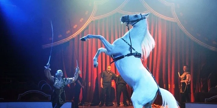 Vstupenka pre 2 os. na Circus Louis Knie vo Viedni