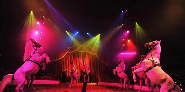 Vstupenka pre 2 os. na Circus Louis Knie vo Viedni