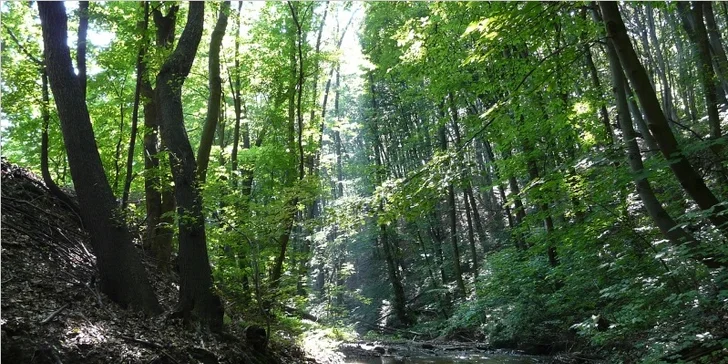Päť zábavných outdoorových únikových hier v Bratislave