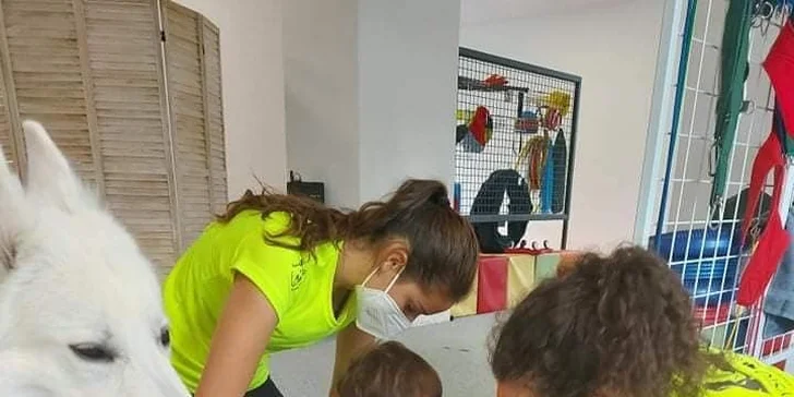 Kmeňové bunky v Mexiku - nádej pre Tobiáška