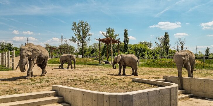 Pobyt v 4* hoteli v srdci Győru - hotelové wellness a varianty so vstupom do Zoo