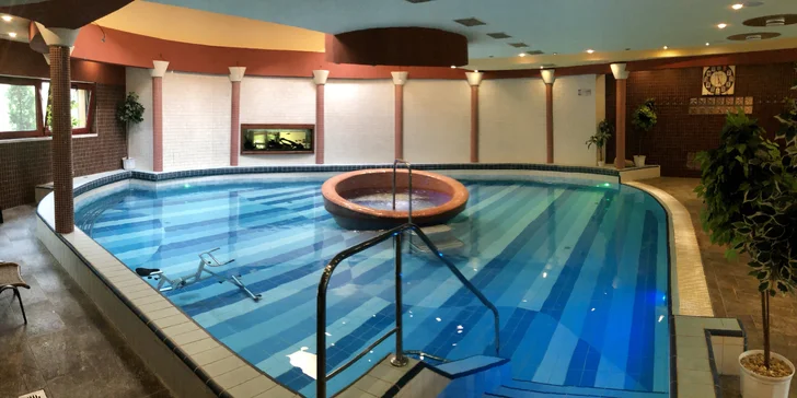 Celodenný vstup do wellness v hoteli Therma s večerou či masážou