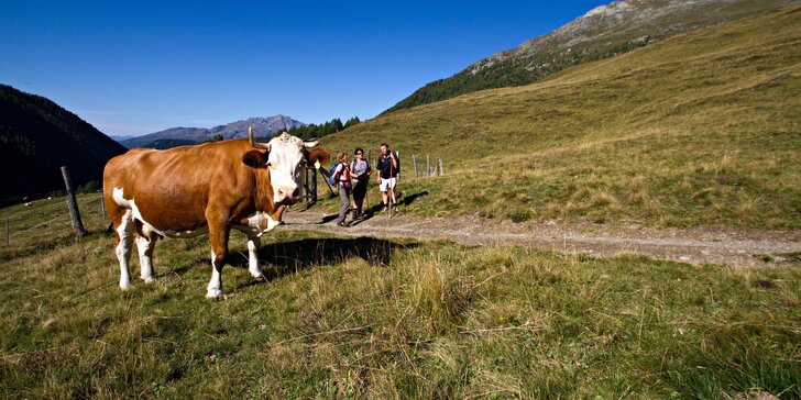 Krása rakúskych Álp: dovolenka s raňajkami v penzióne uprostred prírody