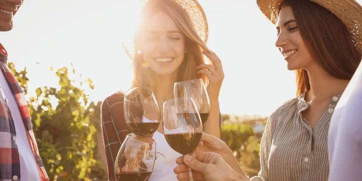 Pobyt medzi vinicami na južnej Morave: hotel s raňajkami, bowlingom a letnou degustáciou vín