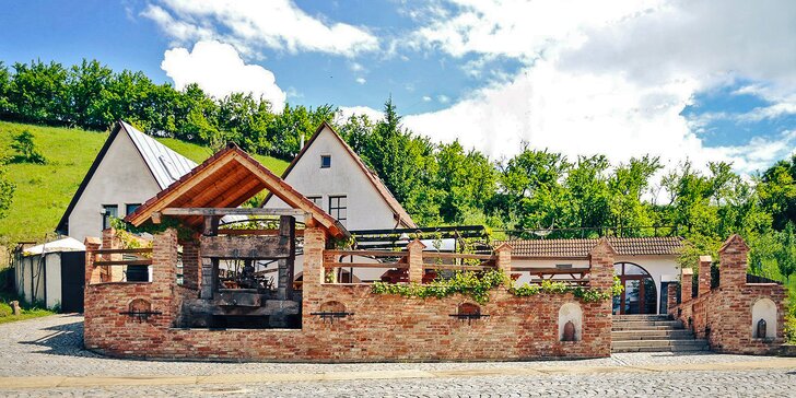 Dovolenka v prírode južnej Moravy: bohaté vyžitie pre páry aj rodiny v krásnom areáli rodinného vinárstva