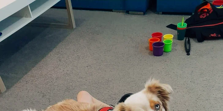 Pomôžme anjelskú Adelku postaviť na nôžky