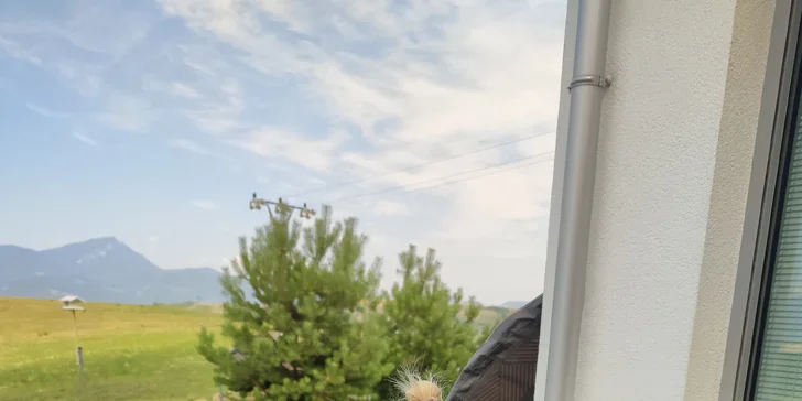 Pomôžme anjelskú Adelku postaviť na nôžky