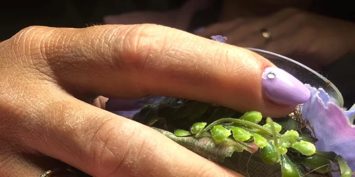 Gél lak, japonská alebo klasická manikúra v Mirieva Nailbar