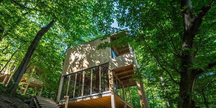 Unikátny pobyt v korunách stromov pre páry v Maďarsku: raňajkový box, privátna vírivka a fínska sauna