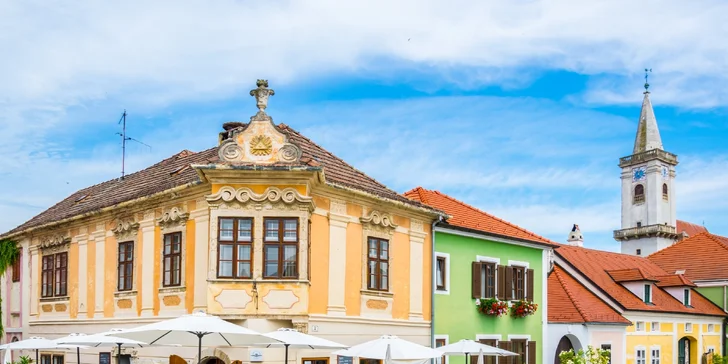 Pre všetkých labužníkov: zájazd na husacie hody, festival vína v Ruste a nákupy v Shopping City Süd